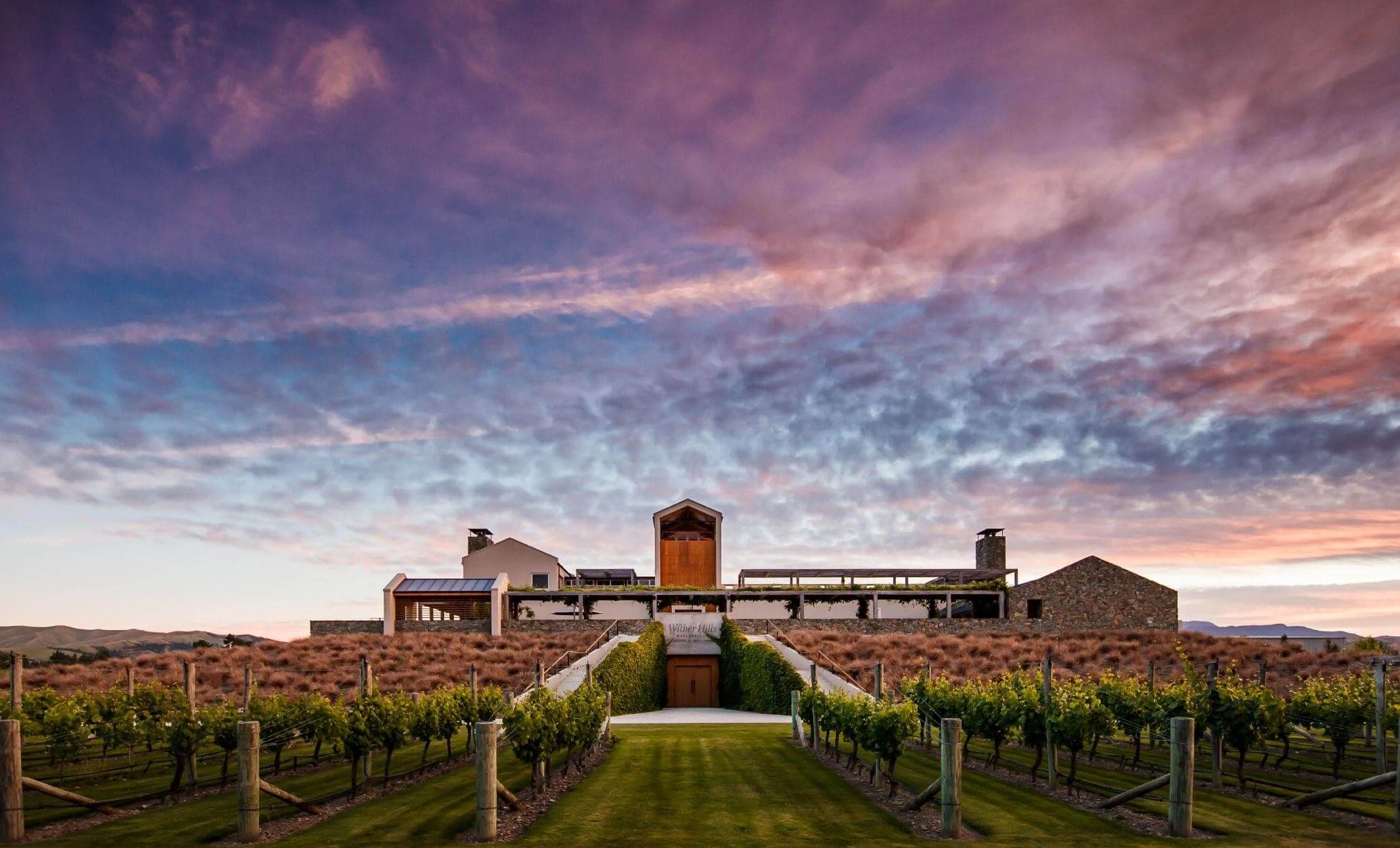 wine industry